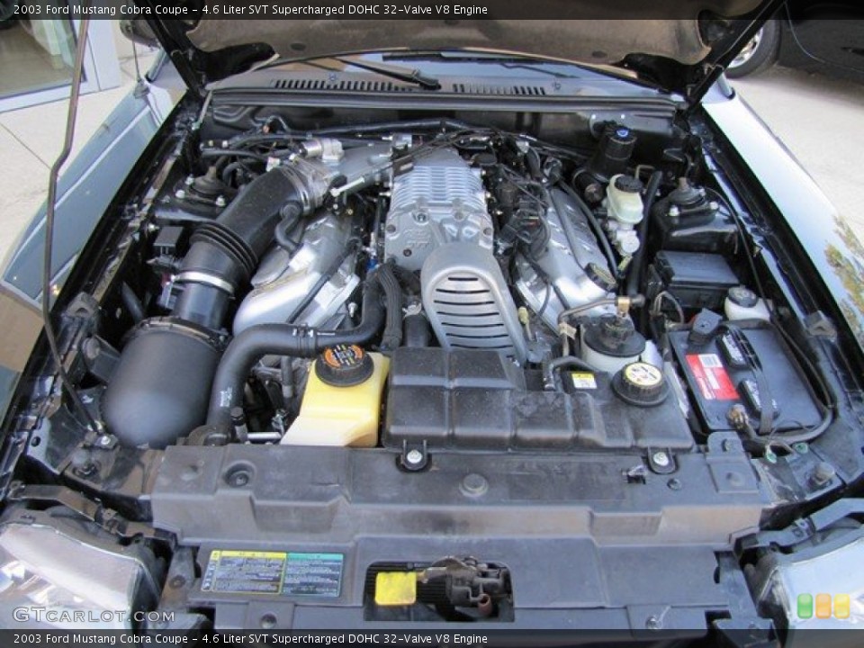 4.6 Liter SVT Supercharged DOHC 32-Valve V8 Engine for the 2003 Ford Mustang #78926568