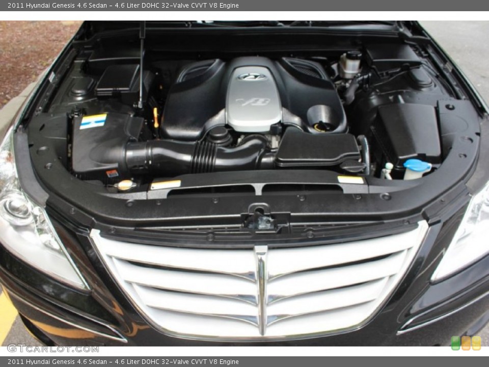 4.6 Liter DOHC 32-Valve CVVT V8 2011 Hyundai Genesis Engine