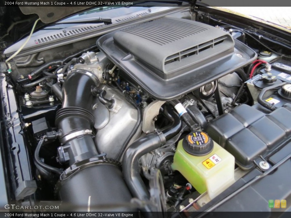 4.6 Liter DOHC 32-Valve V8 Engine for the 2004 Ford Mustang #81300659