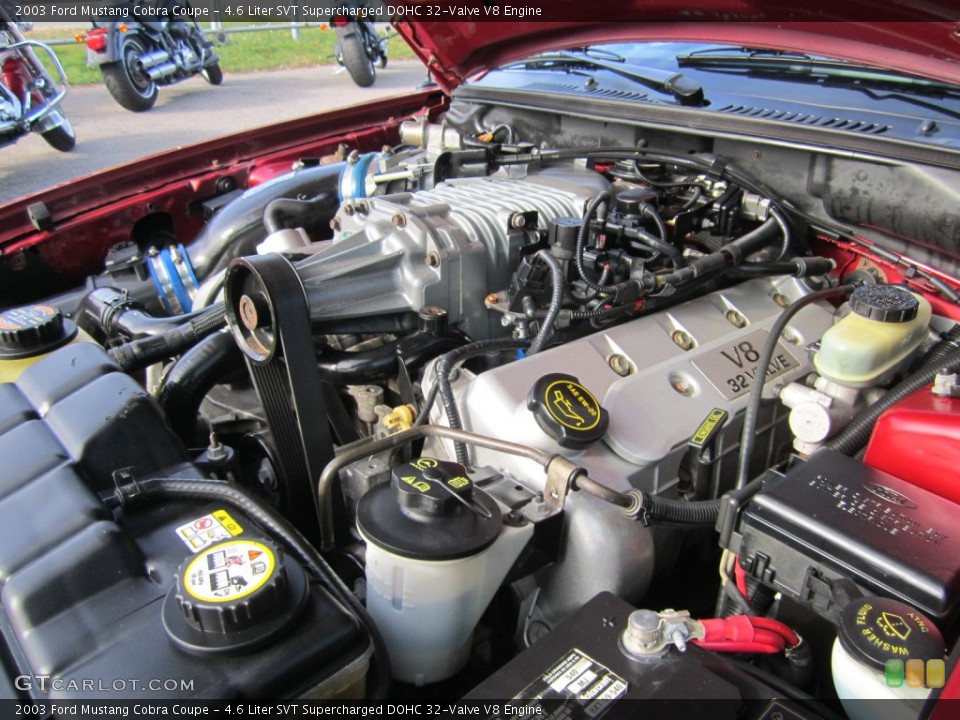 4.6 Liter SVT Supercharged DOHC 32-Valve V8 Engine for the 2003 Ford Mustang #82116525