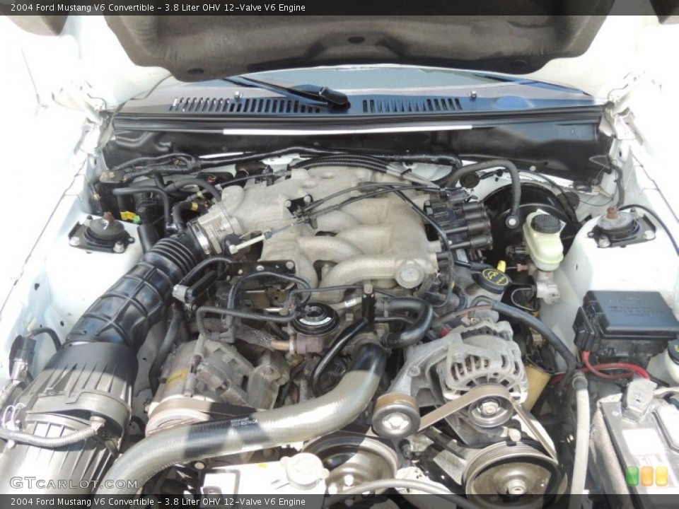 3.8 Liter OHV 12-Valve V6 Engine for the 2004 Ford Mustang #83660944