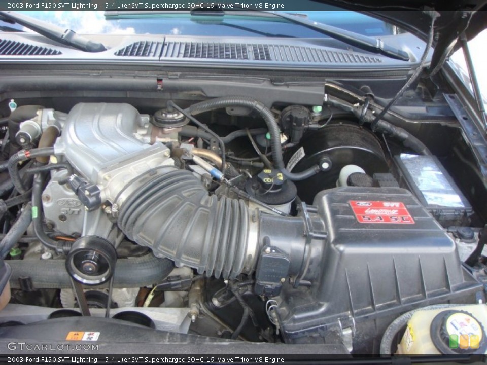 5.4 Liter SVT Supercharged SOHC 16-Valve Triton V8 Engine for the 2003 Ford F150 #87263781
