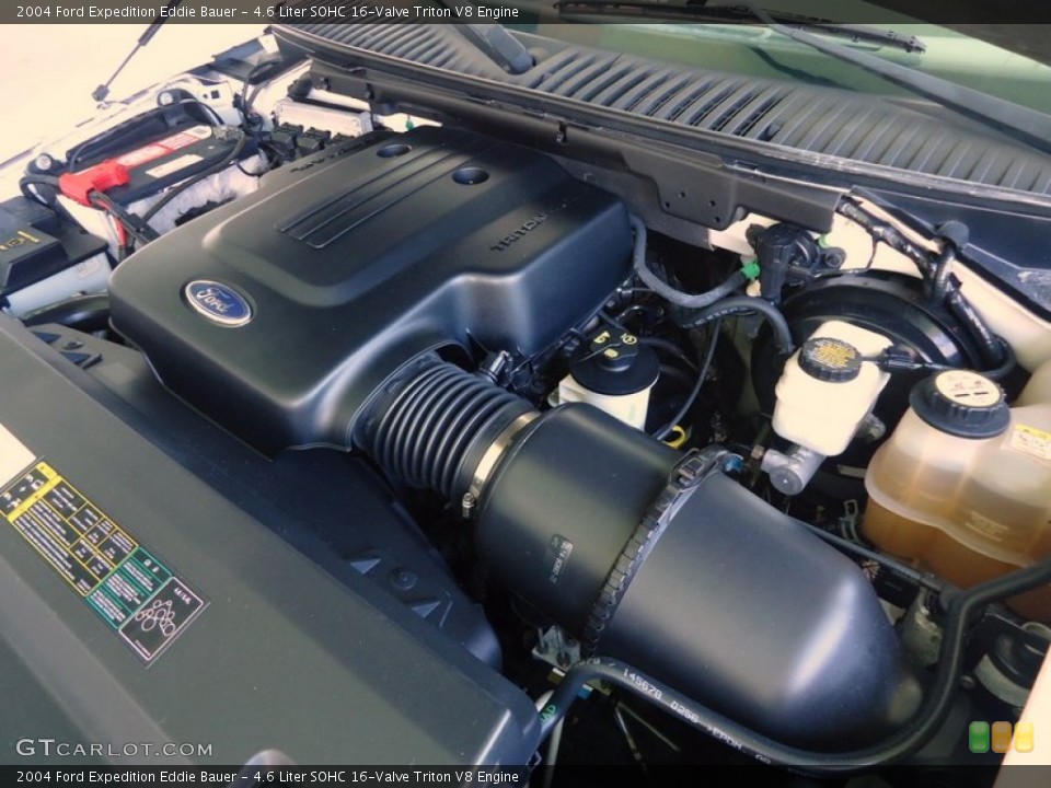 4.6 Liter SOHC 16-Valve Triton V8 Engine for the 2004 Ford Expedition #88613683