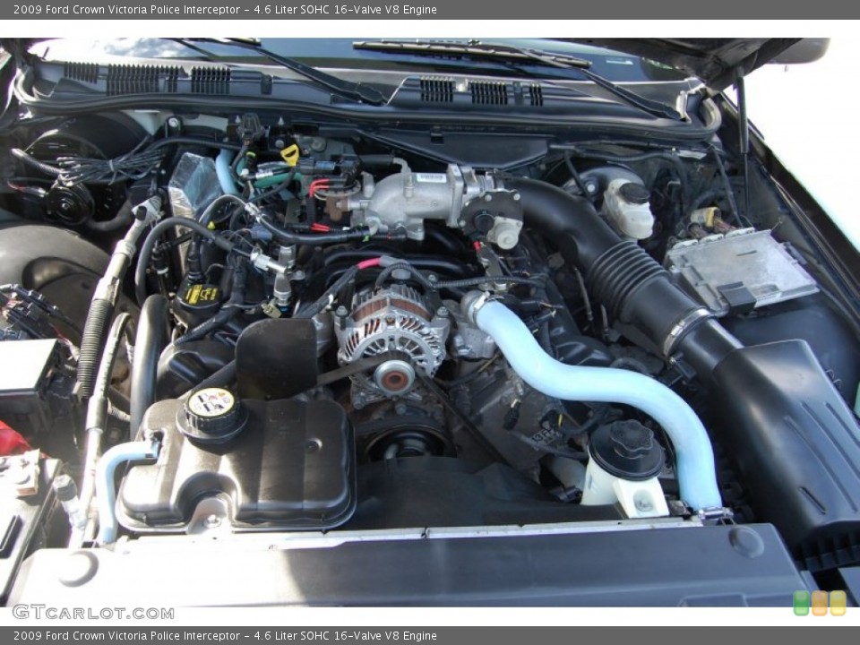 4.6 Liter SOHC 16-Valve V8 2009 Ford Crown Victoria Engine
