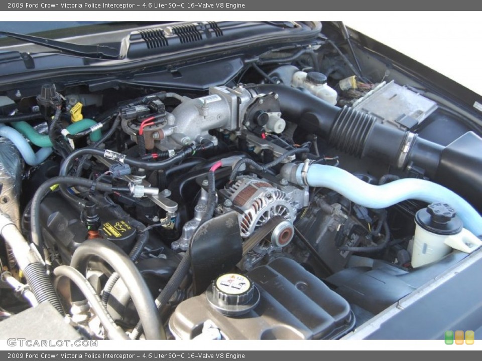 4.6 Liter SOHC 16-Valve V8 Engine for the 2009 Ford Crown Victoria #91554779