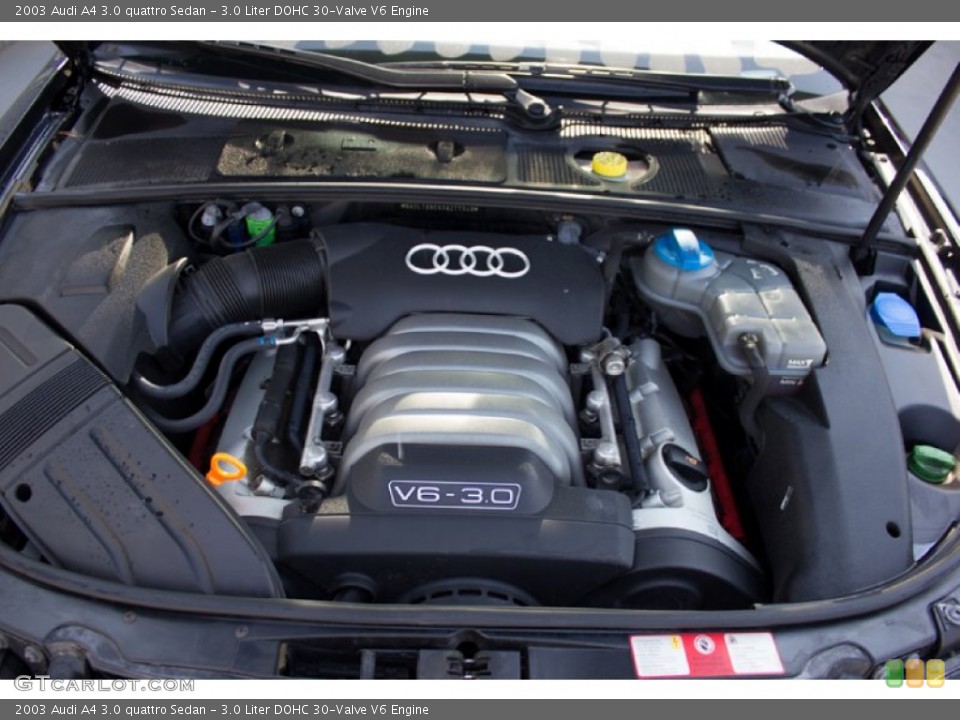 3.0 Liter DOHC 30-Valve V6 Engine for the 2003 Audi A4 #96374649