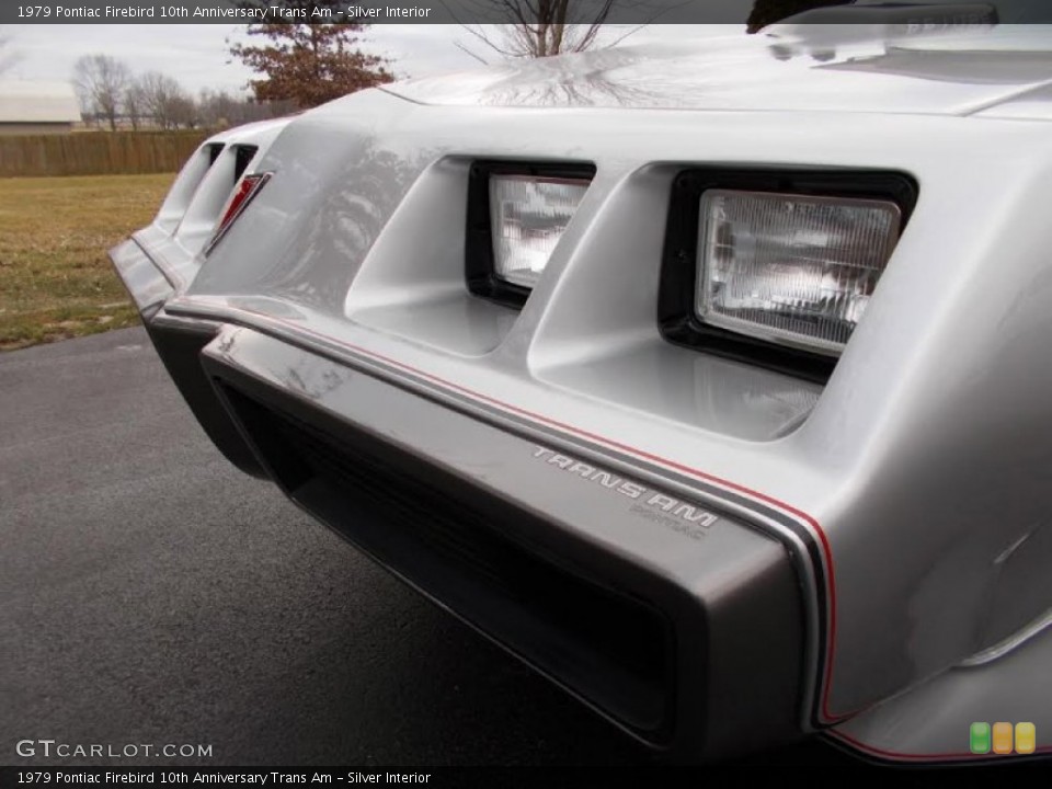 Silver Interior Door Panel for the 1979 Pontiac Firebird 10th Anniversary Trans Am #101827962