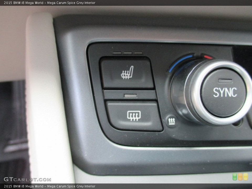 Mega Carum Spice Grey Interior Controls for the 2015 BMW i8 Mega World #105641490