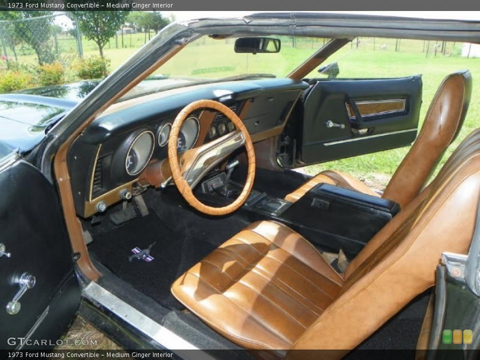 Medium Ginger Interior Photo for the 1973 Ford Mustang Convertible #106886891