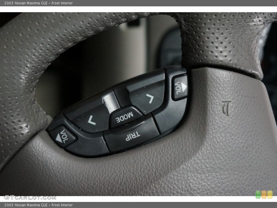 Frost Interior Controls for the 2003 Nissan Maxima GLE #107005645