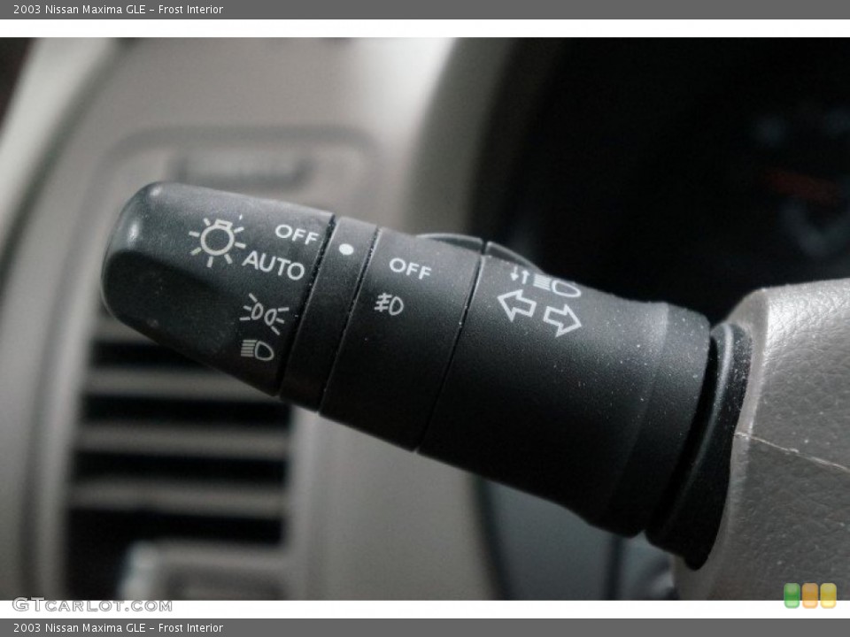 Frost Interior Controls for the 2003 Nissan Maxima GLE #107005660