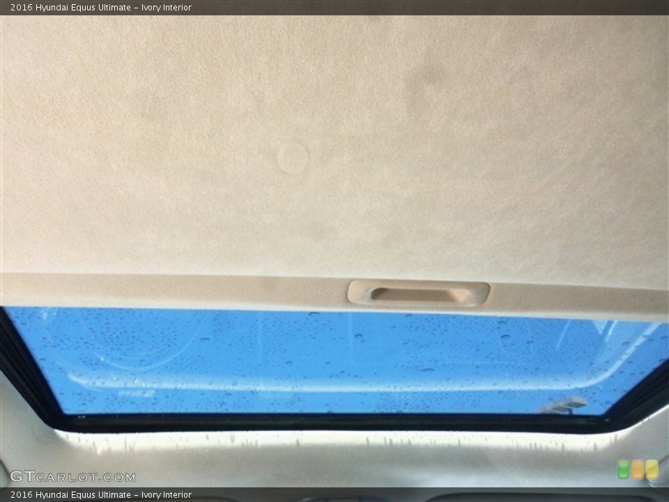 Ivory Interior Sunroof for the 2016 Hyundai Equus Ultimate #107929850