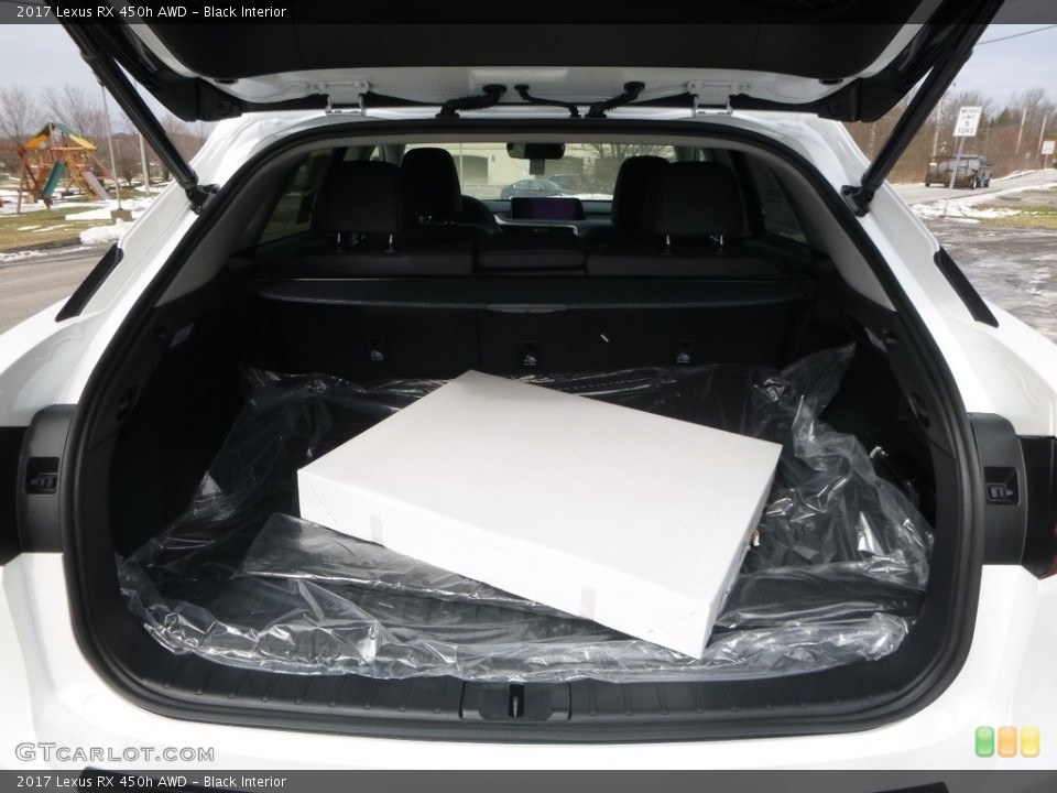 Black Interior Trunk for the 2017 Lexus RX 450h AWD #118656935