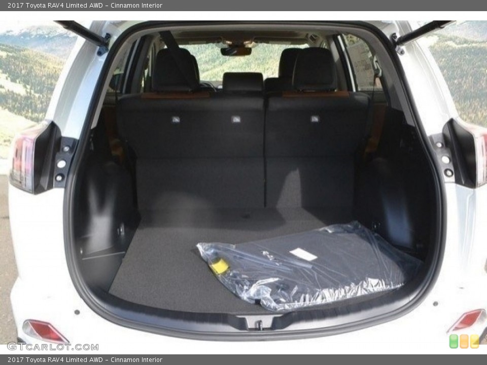 Cinnamon Interior Trunk for the 2017 Toyota RAV4 Limited AWD #119616375
