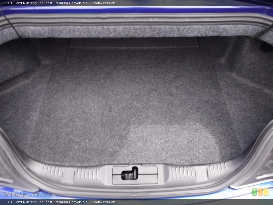 Ebony Interior Trunk for the 2016 Ford Mustang EcoBoost Premium Convertible #120339415