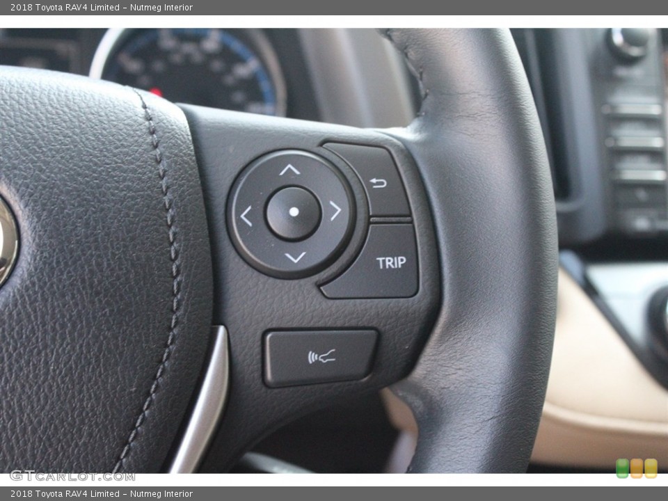 Nutmeg Interior Controls for the 2018 Toyota RAV4 Limited #123273393