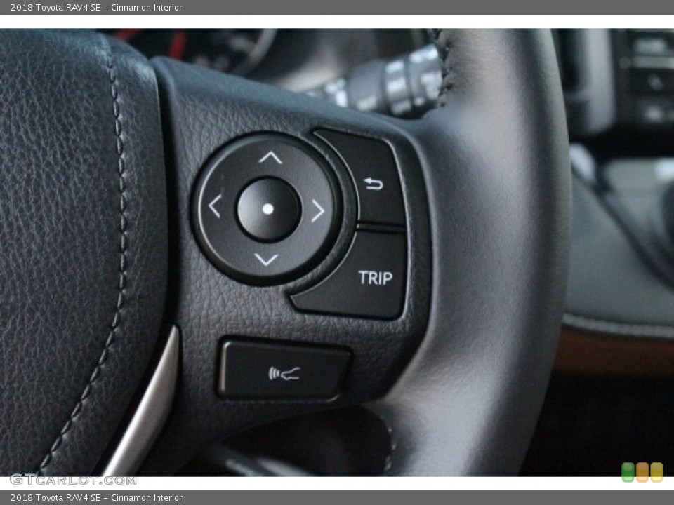 Cinnamon Interior Controls for the 2018 Toyota RAV4 SE #123594401