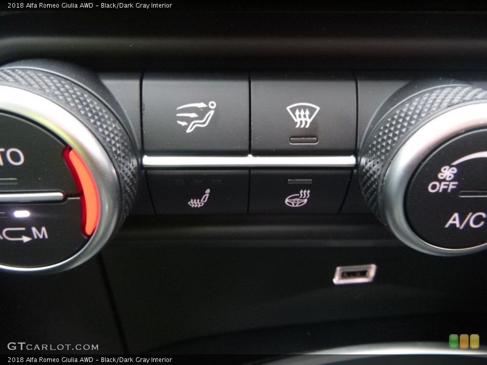 Black/Dark Gray Interior Controls for the 2018 Alfa Romeo Giulia AWD #124158413