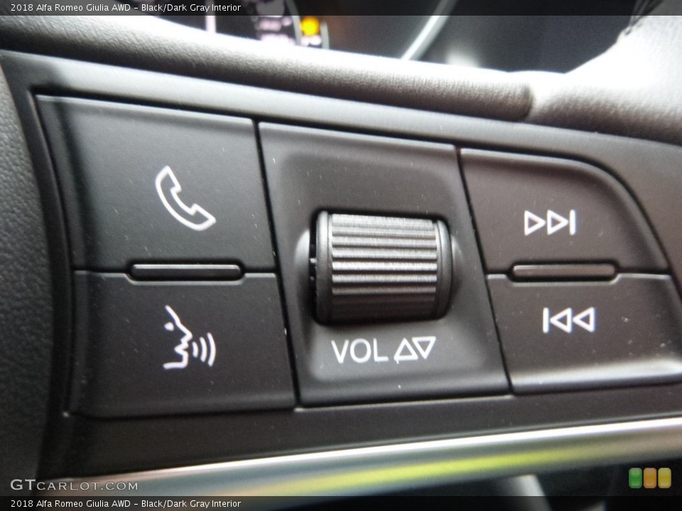 Black/Dark Gray Interior Controls for the 2018 Alfa Romeo Giulia AWD #124158458