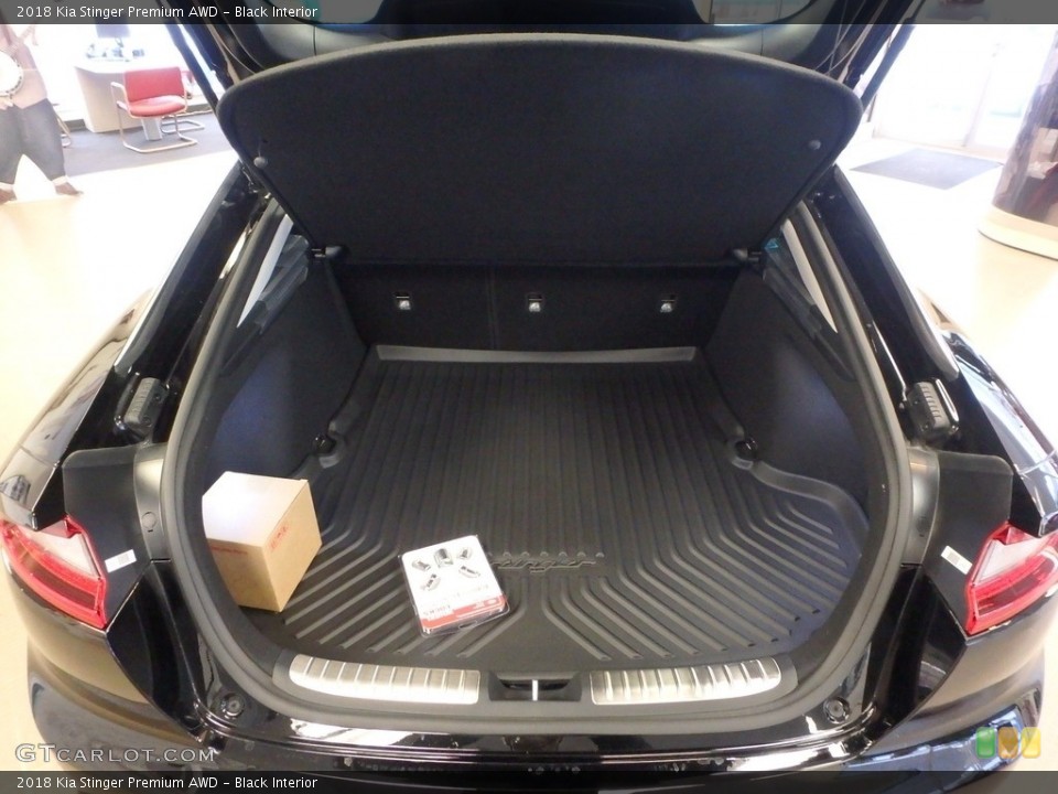 Black Interior Trunk for the 2018 Kia Stinger Premium AWD #124666921