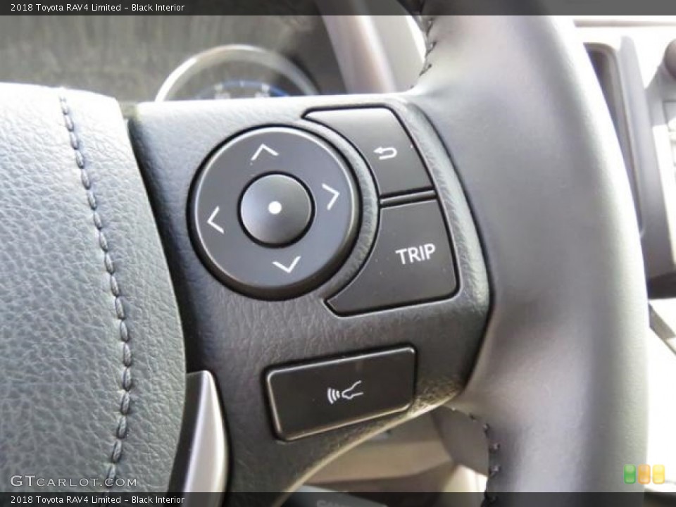 Black Interior Controls for the 2018 Toyota RAV4 Limited #126599285