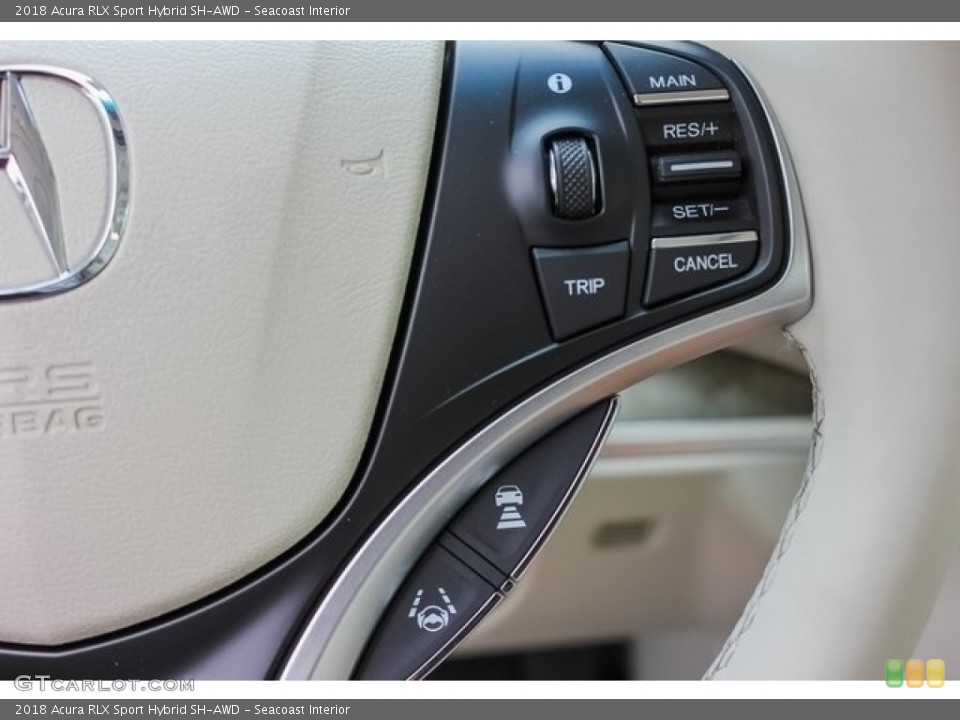 Seacoast Interior Controls for the 2018 Acura RLX Sport Hybrid SH-AWD #126765533
