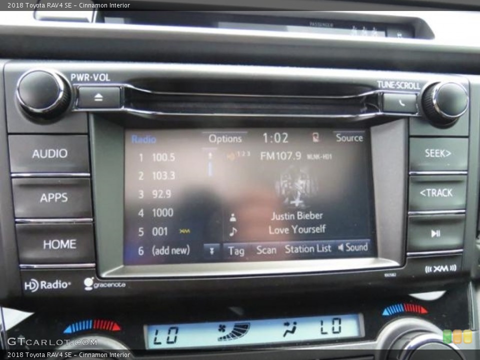 Cinnamon Interior Controls for the 2018 Toyota RAV4 SE #127275291