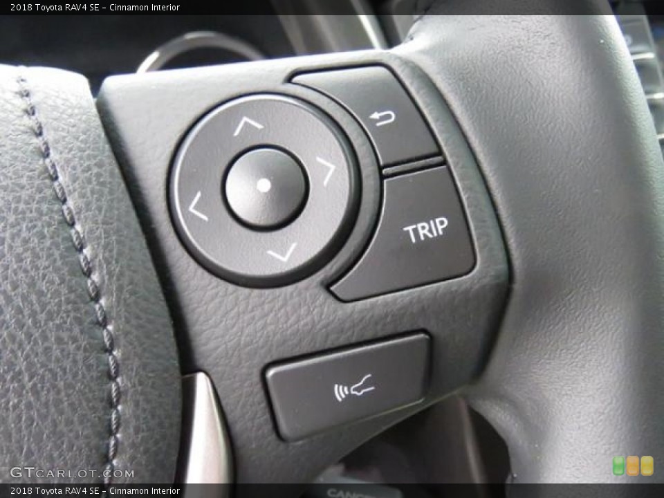 Cinnamon Interior Controls for the 2018 Toyota RAV4 SE #127275345