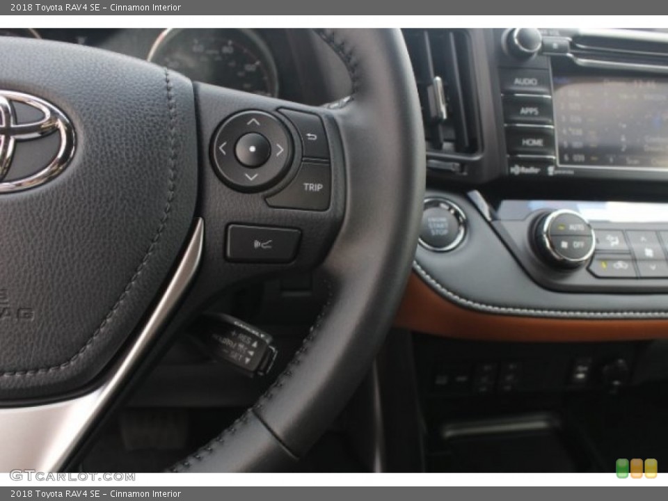 Cinnamon Interior Steering Wheel for the 2018 Toyota RAV4 SE #127905188
