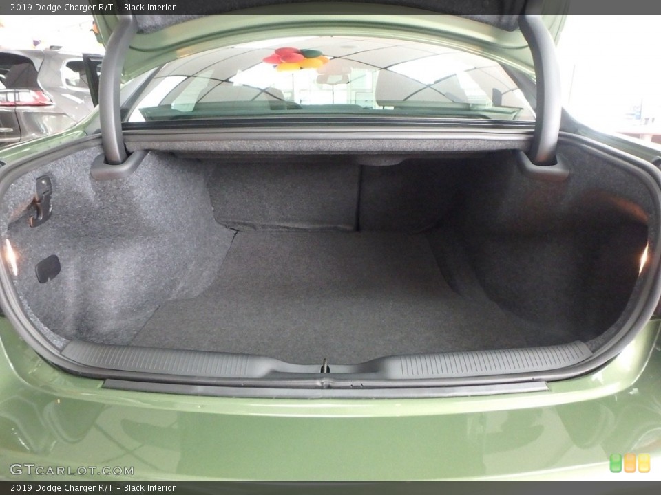 Black Interior Trunk for the 2019 Dodge Charger R/T #129618941