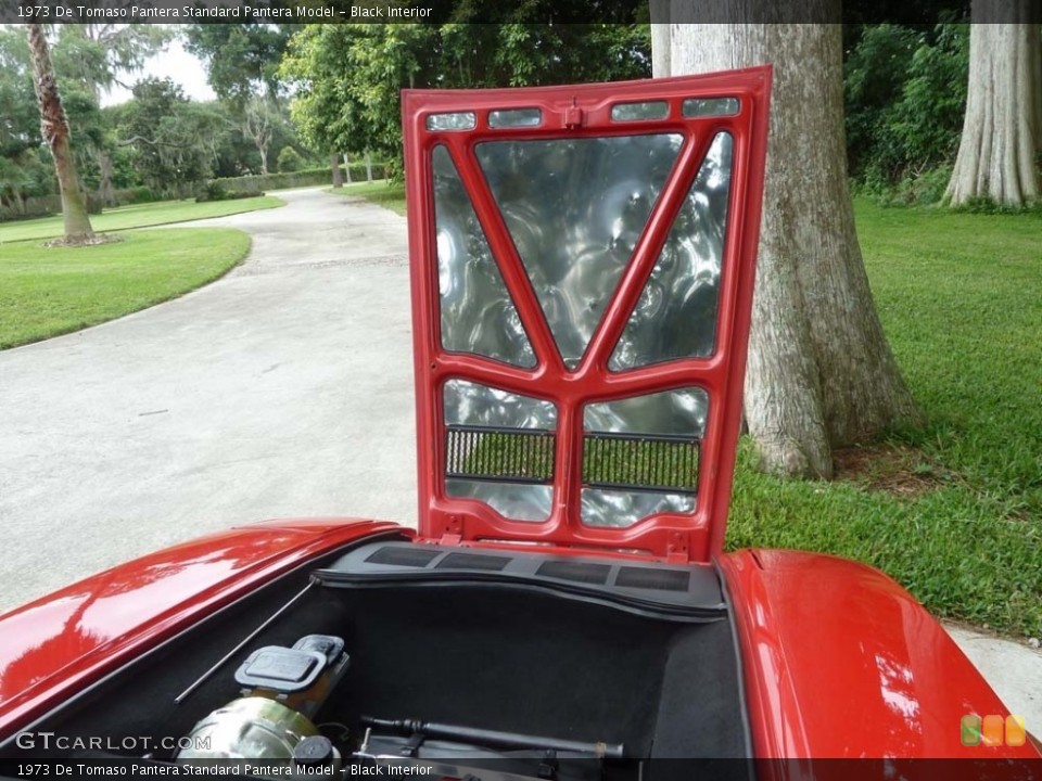 Black Interior Trunk for the 1973 De Tomaso Pantera  #129972061