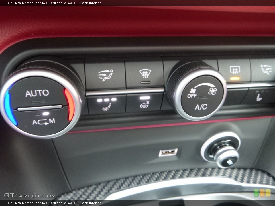 Black Interior Controls for the 2019 Alfa Romeo Stelvio Quadrifoglio AWD #130798341