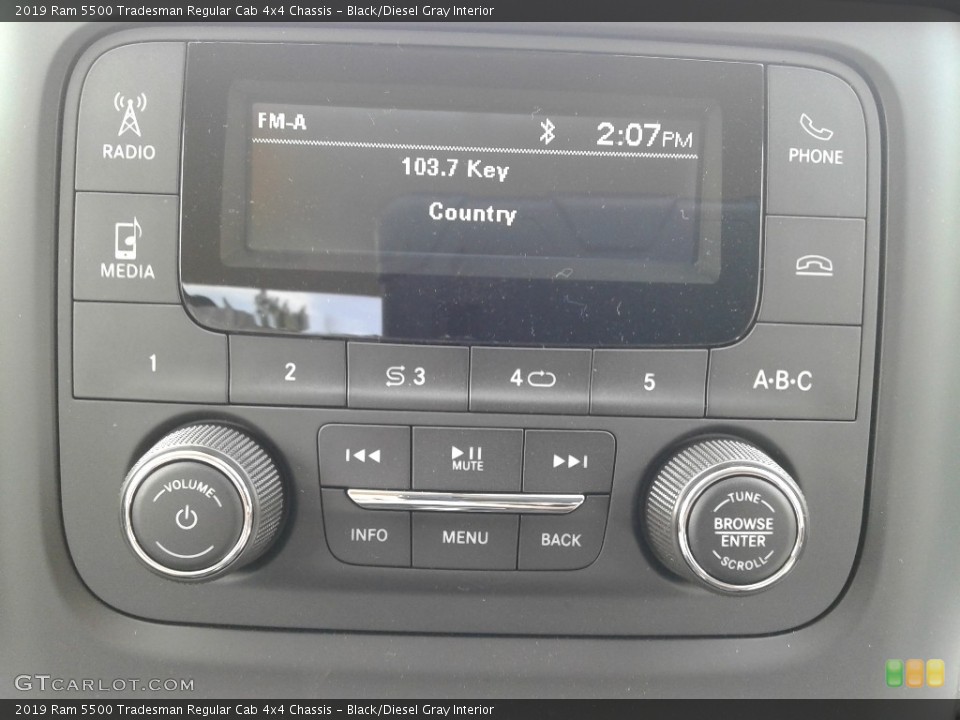 Black/Diesel Gray Interior Controls for the 2019 Ram 5500 Tradesman Regular Cab 4x4 Chassis #132613919