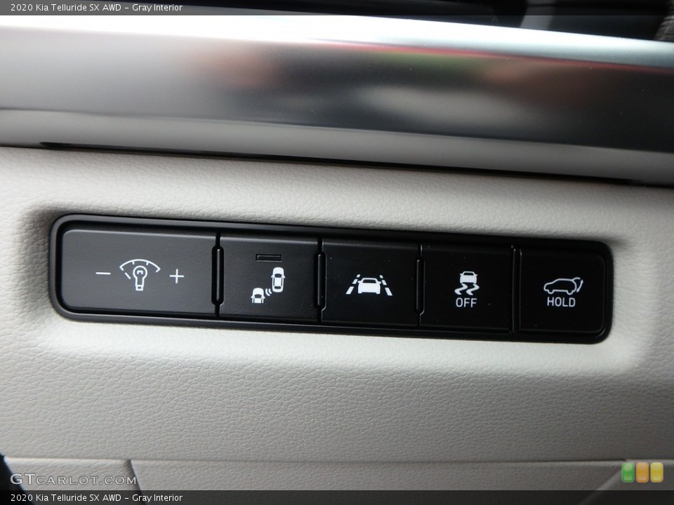 Gray Interior Controls for the 2020 Kia Telluride SX AWD #132966185