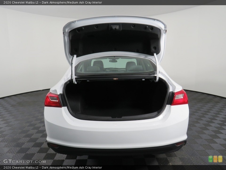 Dark Atmosphere/Medium Ash Gray Interior Trunk for the 2020 Chevrolet Malibu LS #138383692