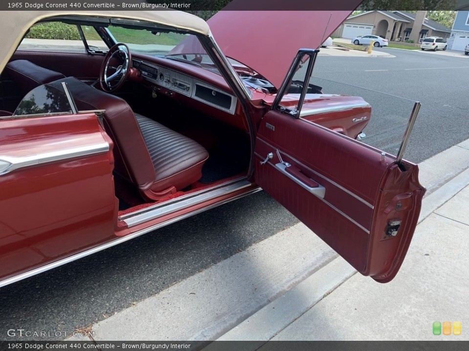 Brown/Burgundy Interior Door Panel for the 1965 Dodge Coronet 440 Convertible #138519423