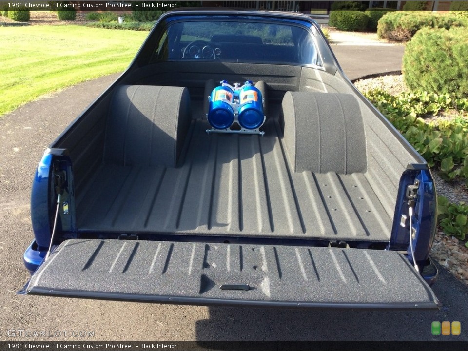 Black Interior Trunk for the 1981 Chevrolet El Camino Custom Pro Street #138533065