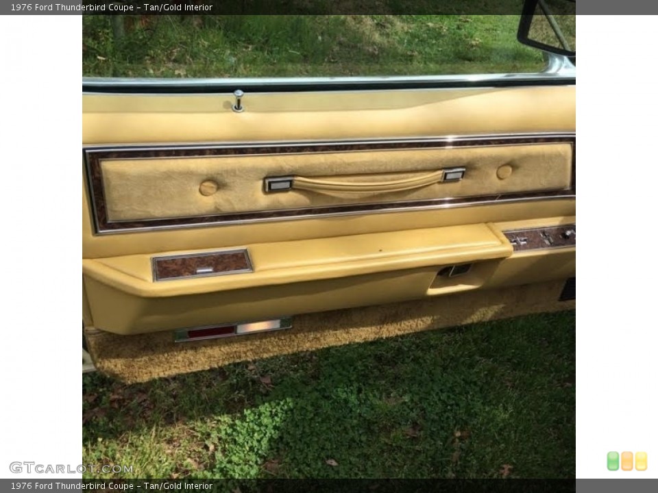 Tan/Gold Interior Door Panel for the 1976 Ford Thunderbird Coupe #138576075