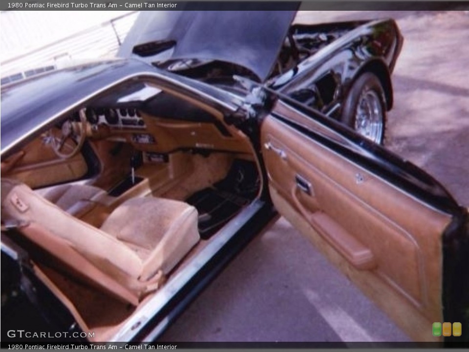Camel Tan Interior Front Seat for the 1980 Pontiac Firebird Turbo Trans Am #138711384
