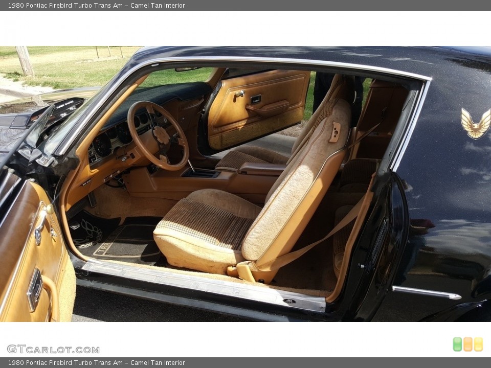Camel Tan Interior Photo for the 1980 Pontiac Firebird Turbo Trans Am #138711450