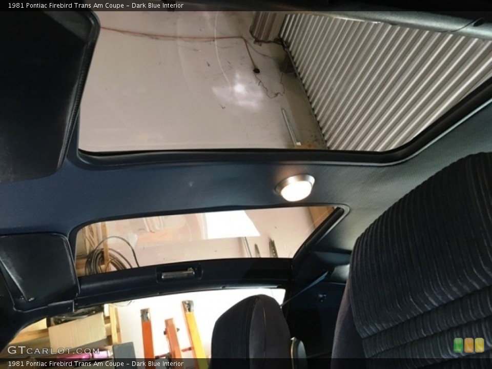 Dark Blue Interior Sunroof for the 1981 Pontiac Firebird Trans Am Coupe #138715026