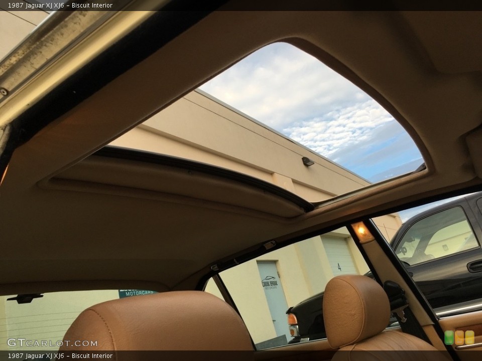 Biscuit Interior Sunroof for the 1987 Jaguar XJ XJ6 #138724878