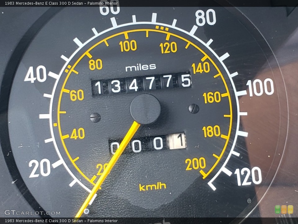 Palomino Interior Gauges for the 1983 Mercedes-Benz E Class 300 D Sedan #138752865
