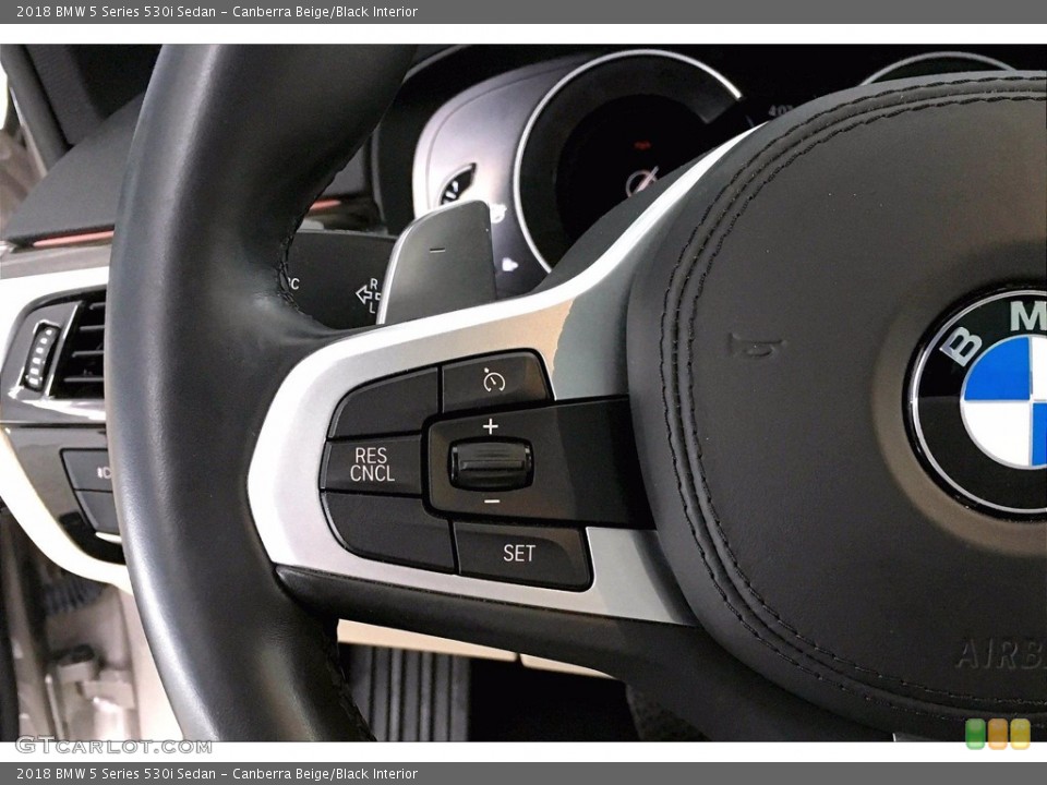 Canberra Beige/Black Interior Steering Wheel for the 2018 BMW 5 Series 530i Sedan #140761831