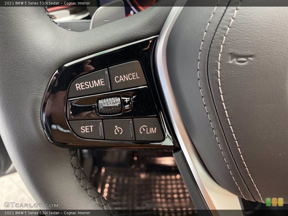 Cognac Interior Steering Wheel for the 2021 BMW 5 Series 530i Sedan #141047817