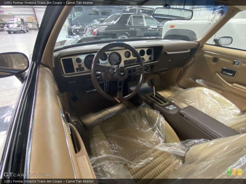 Camel Tan Interior Photo for the 1981 Pontiac Firebird Trans Am Coupe #141256795