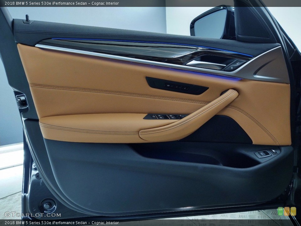 Cognac Interior Door Panel for the 2018 BMW 5 Series 530e iPerfomance Sedan #141357759