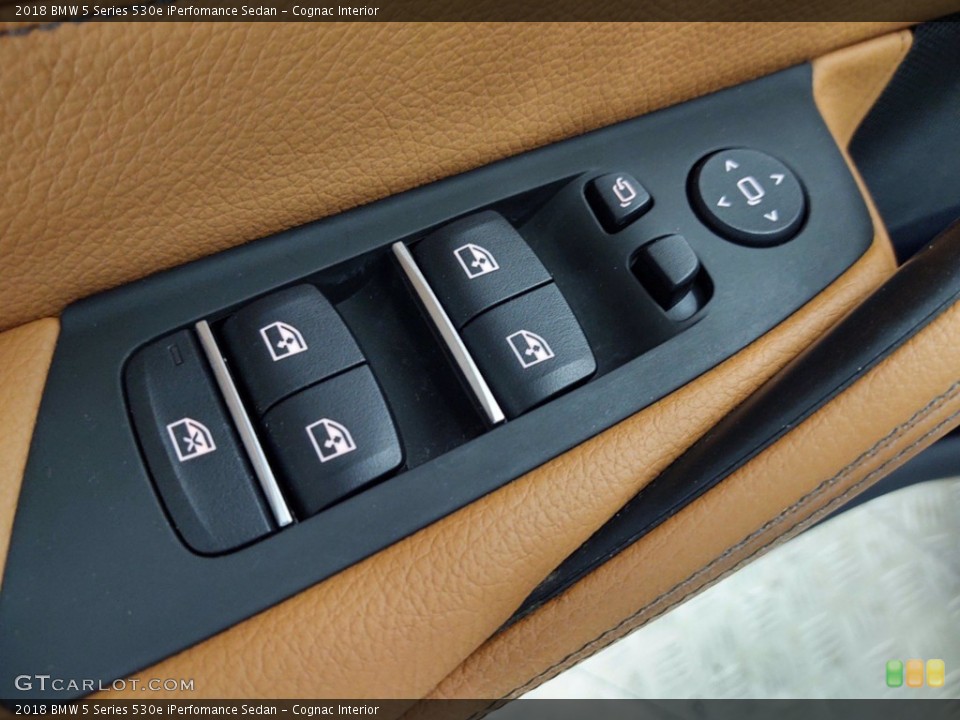 Cognac Interior Door Panel for the 2018 BMW 5 Series 530e iPerfomance Sedan #141357813