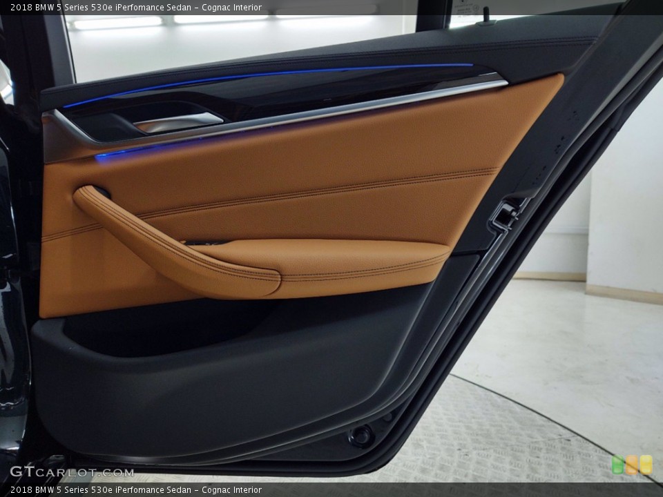 Cognac Interior Door Panel for the 2018 BMW 5 Series 530e iPerfomance Sedan #141358311