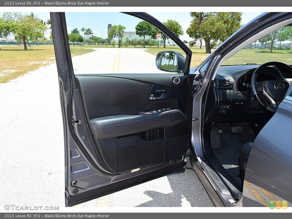 Black/Ebony Birds Eye Maple Interior Door Panel for the 2013 Lexus RX 350 #142094213